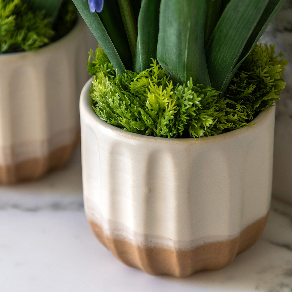 Set of 2 Spring Hydrangea in Ceramic Pots in Purple