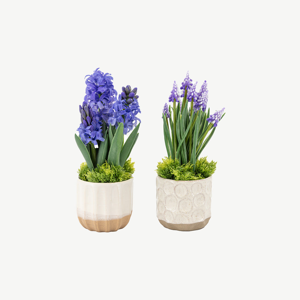 Set of 2 Spring Hydrangea in Ceramic Pots in Purple