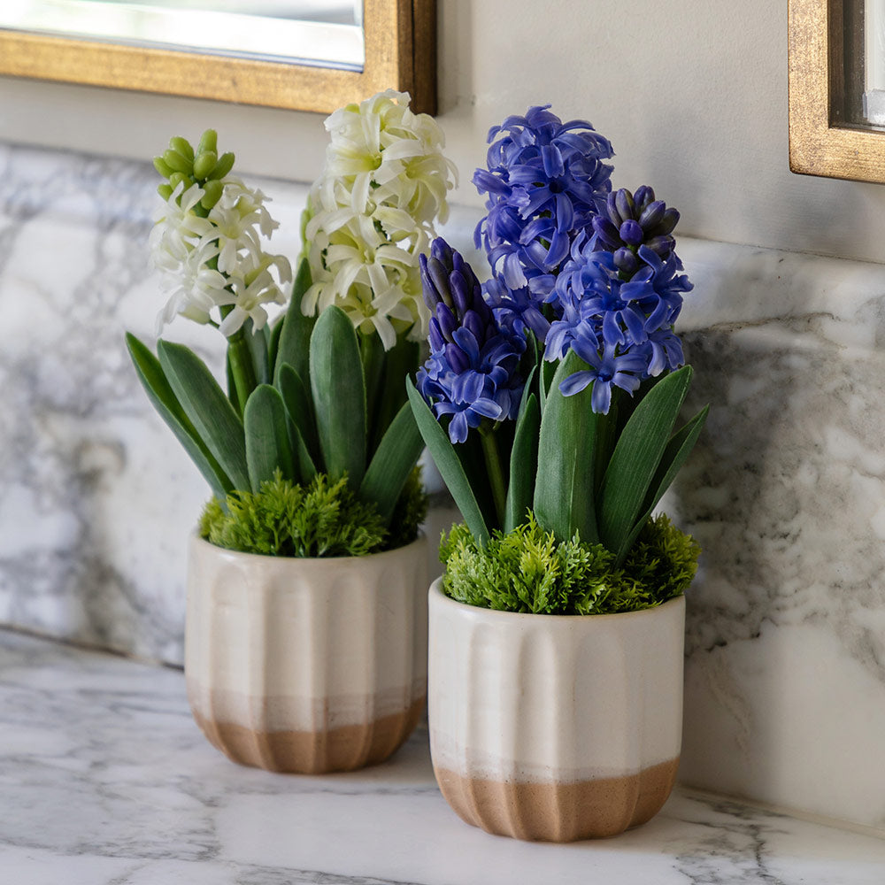 Set of 2 Spring Hydrangea in Ceramic Pots in Purple