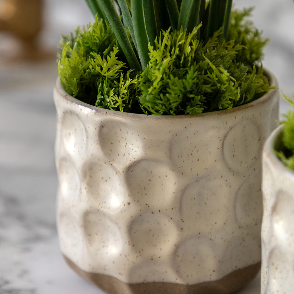 Set of 2 Spring Hydrangea in Ceramic Pots in Green