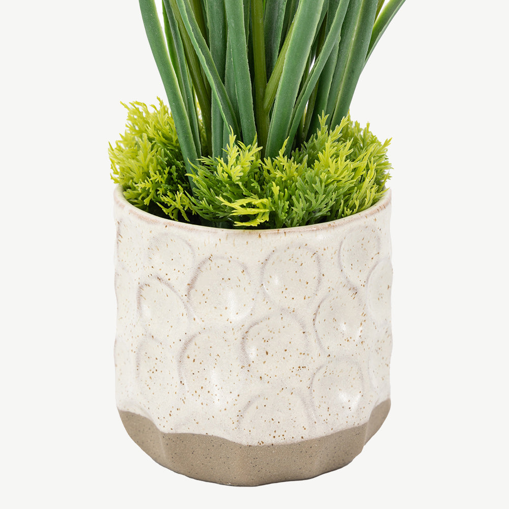 Set of 2 Spring Hydrangea in Ceramic Pots in Purple