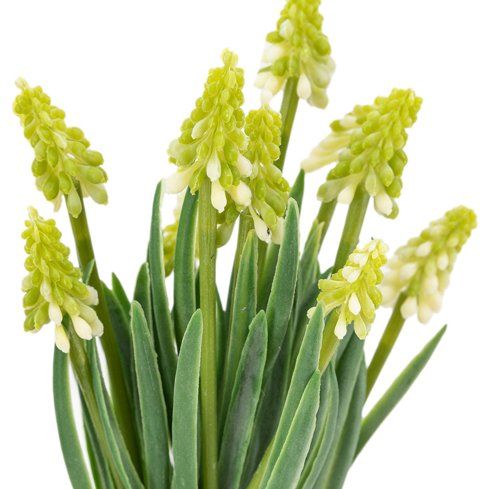 Set of 2 Spring Hydrangea in Ceramic Pots in Green