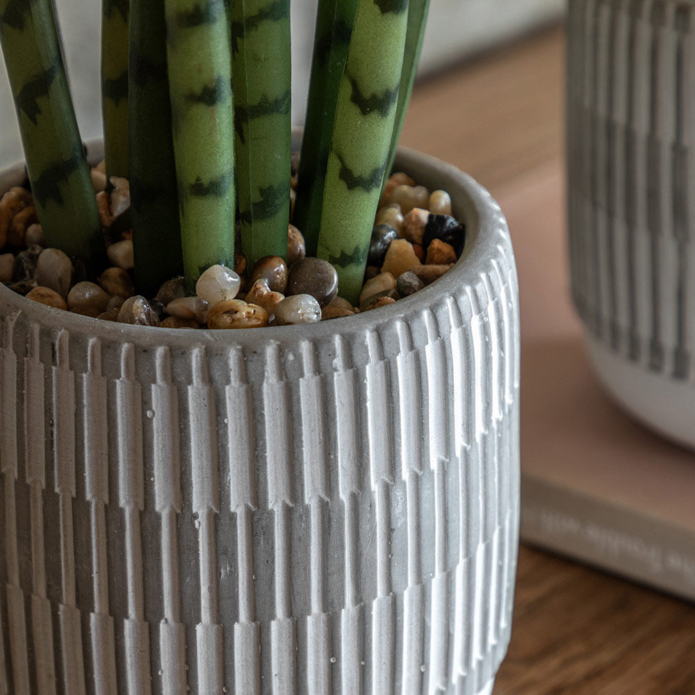 Set of 2 Succulents Ceramic Pots