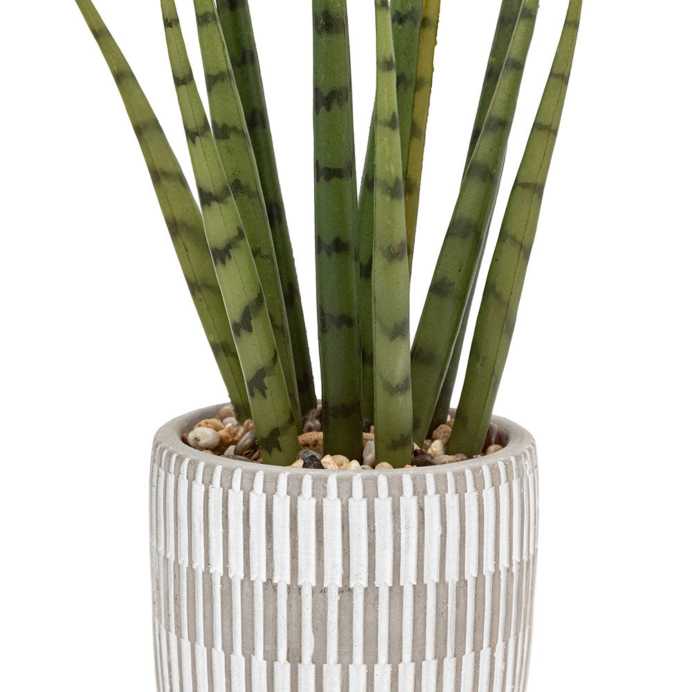 Set of 2 Succulents Ceramic Pots