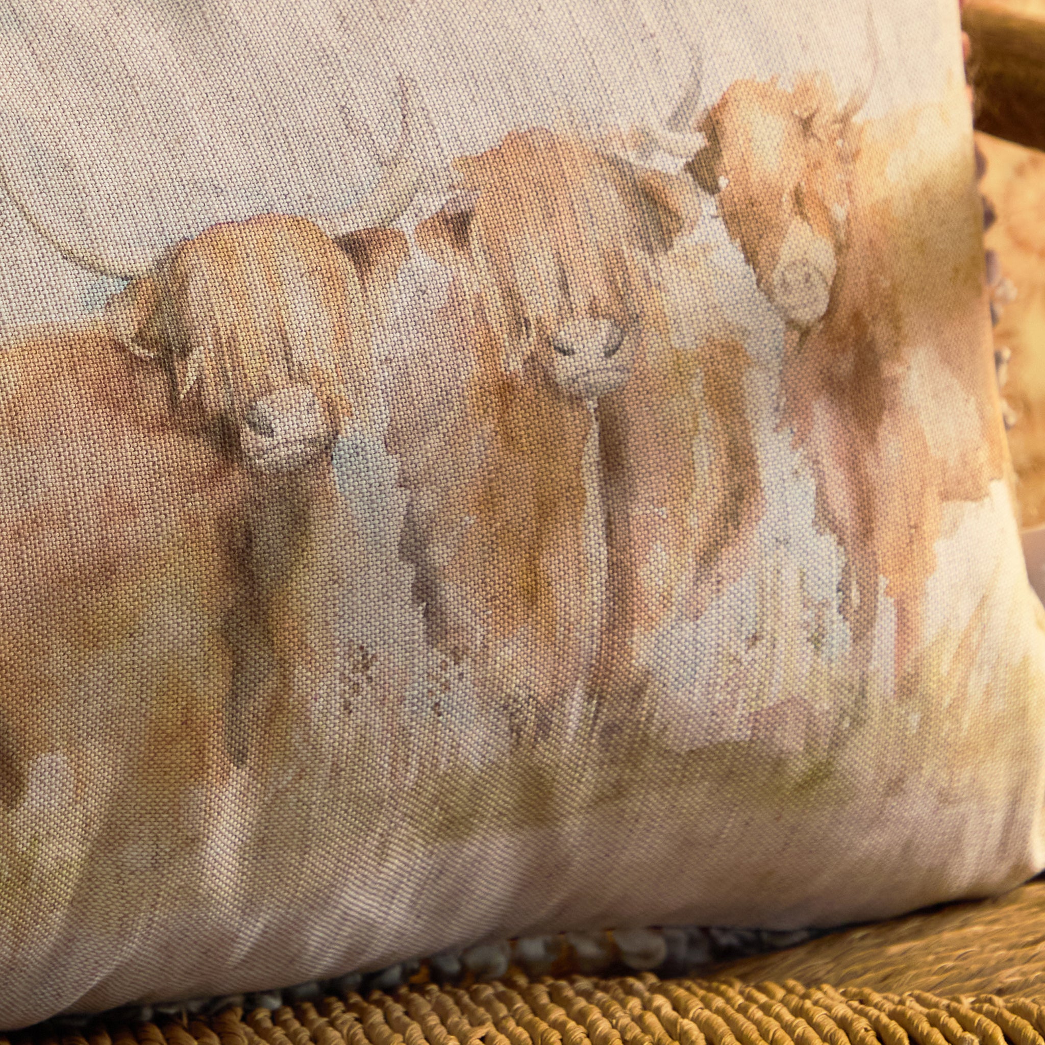 Chasca Highland Cattle Cushion