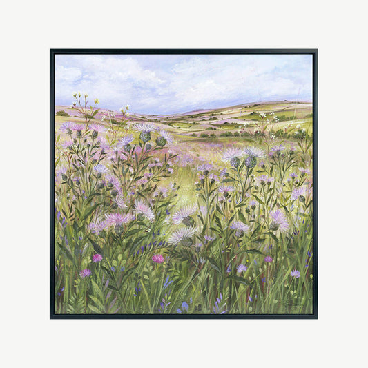 Lilac Thistle Field