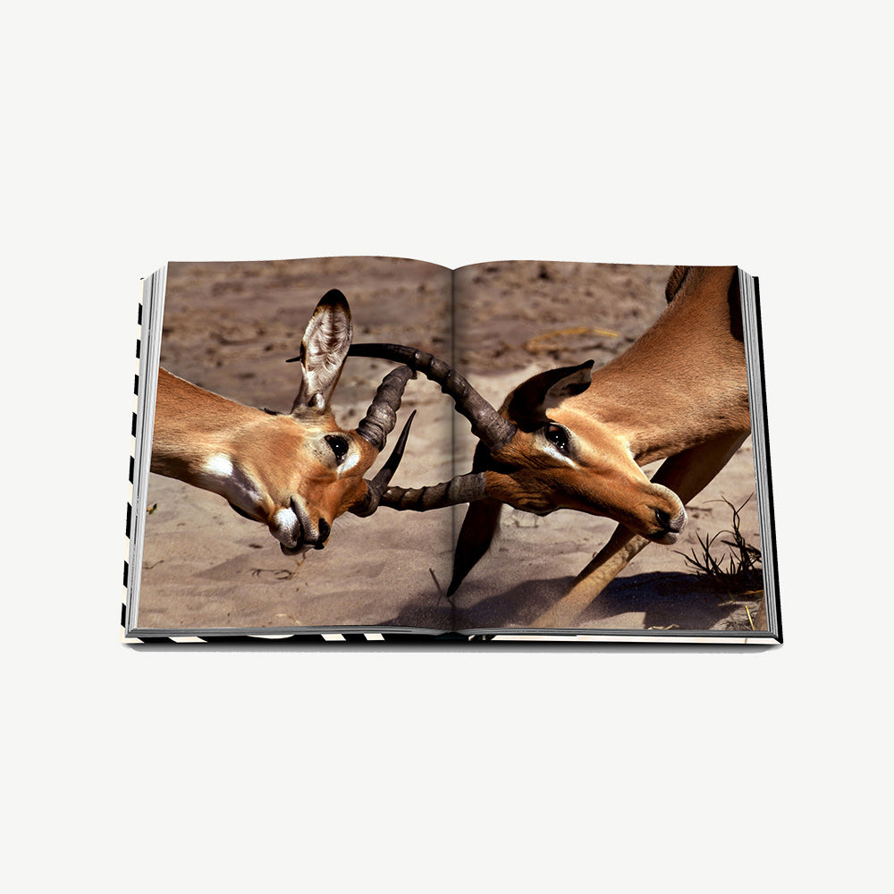 Assouline African Adventures book