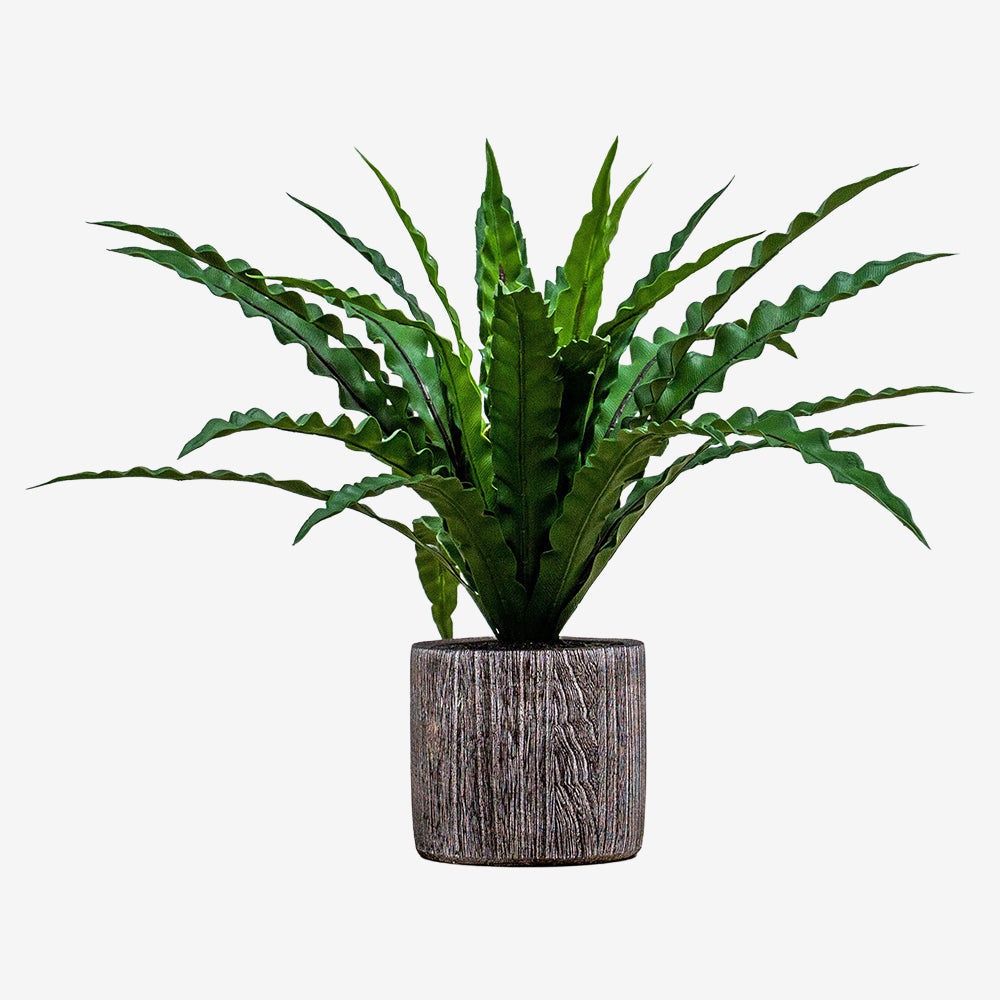 Artificial Potted Asplenium Fern
