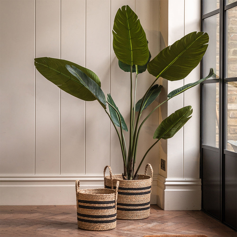 Artificial Potted Travellers Palm Tree