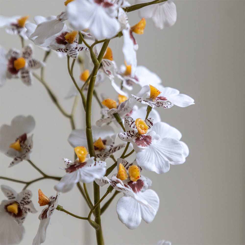 Artificial White Orchid in Low Ceramic Pot