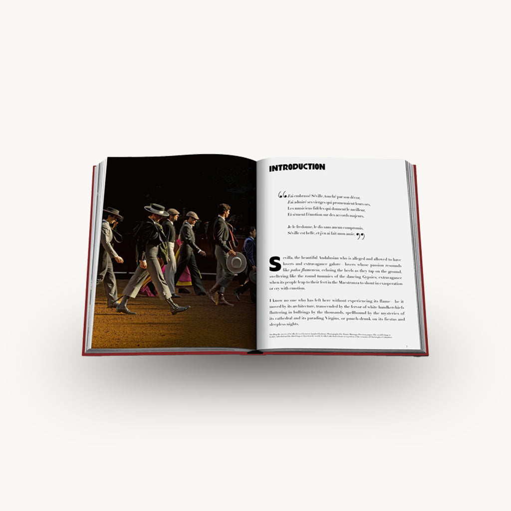Assouline Seville Arte Book