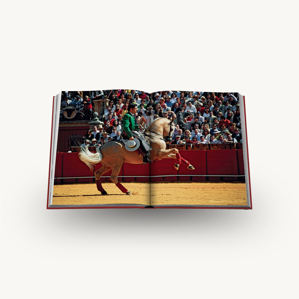 Assouline Seville Arte Book