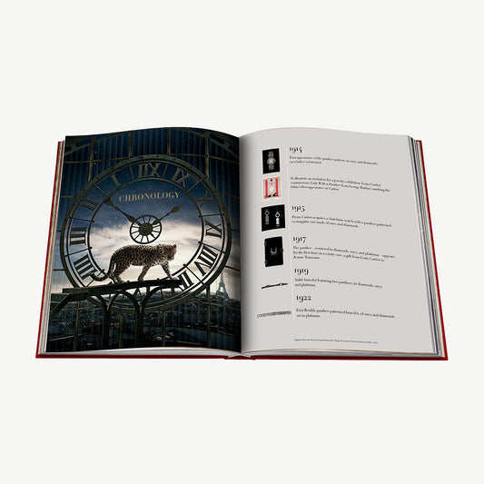 Assouline Cartier Panther Book