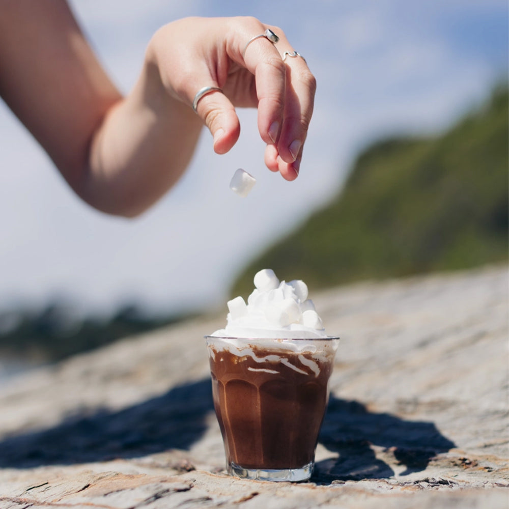 Harth Choco Vanilla Milkshake