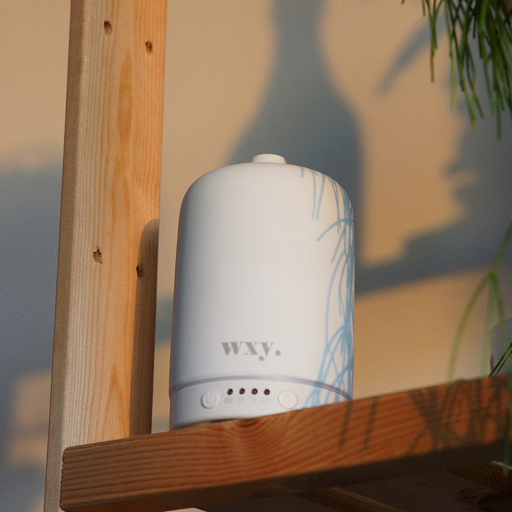 wxy Electronic  Diffuser in White