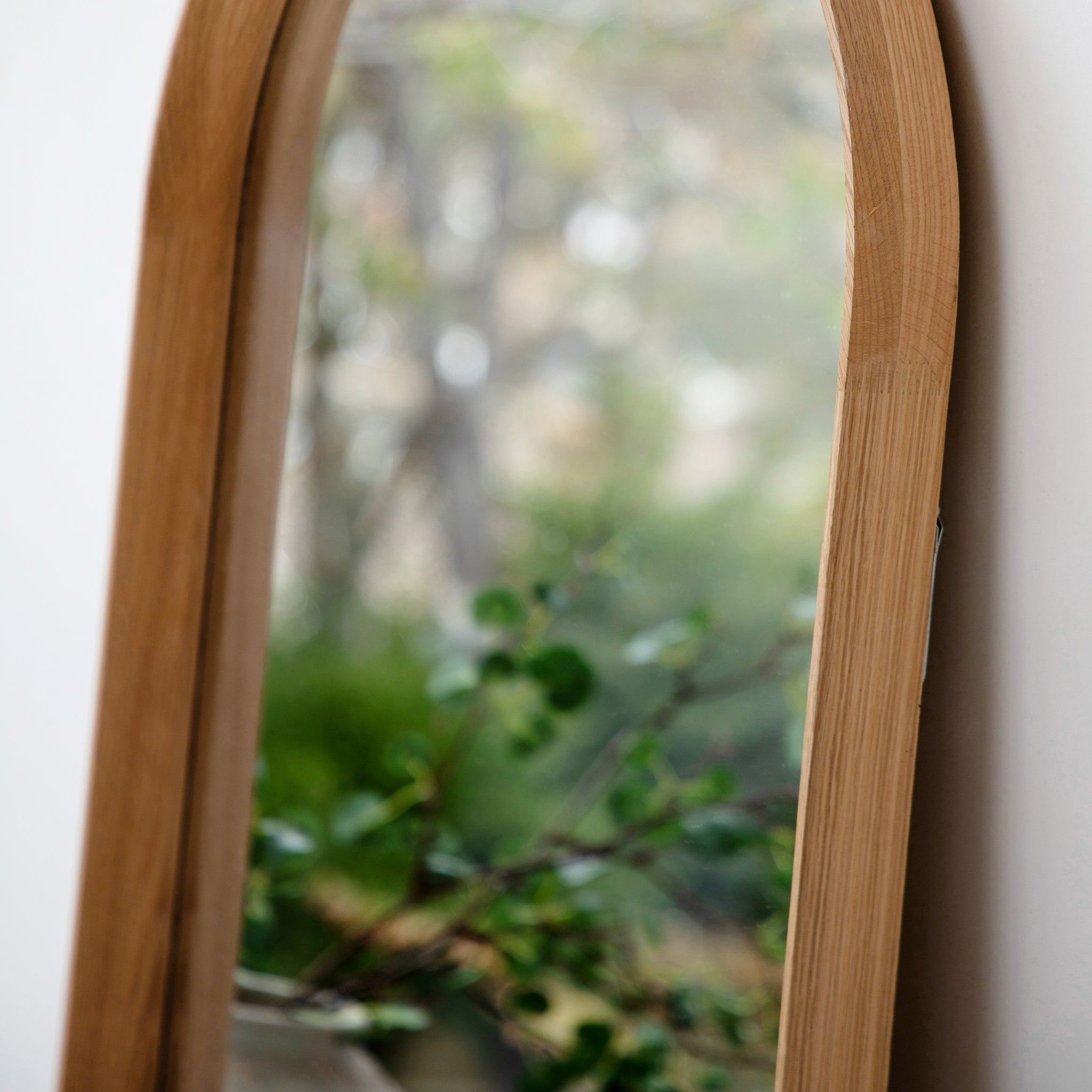 Delhi Leaner Mirror