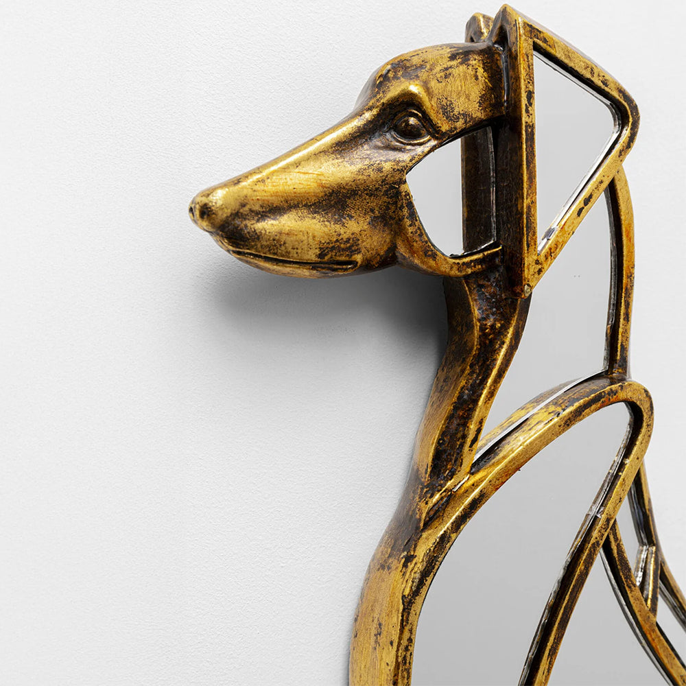 Dog Mirror