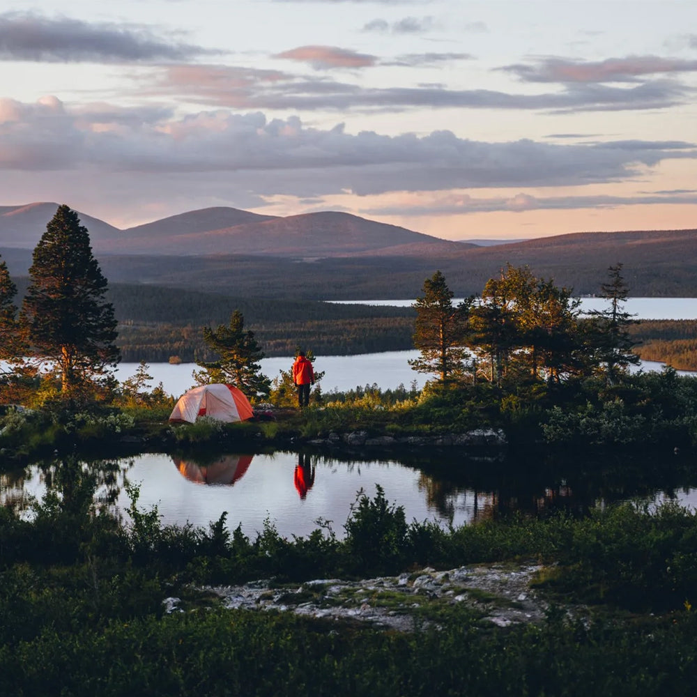 Food In The Woods Cookbook