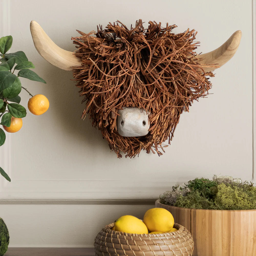 Highland Cow Head