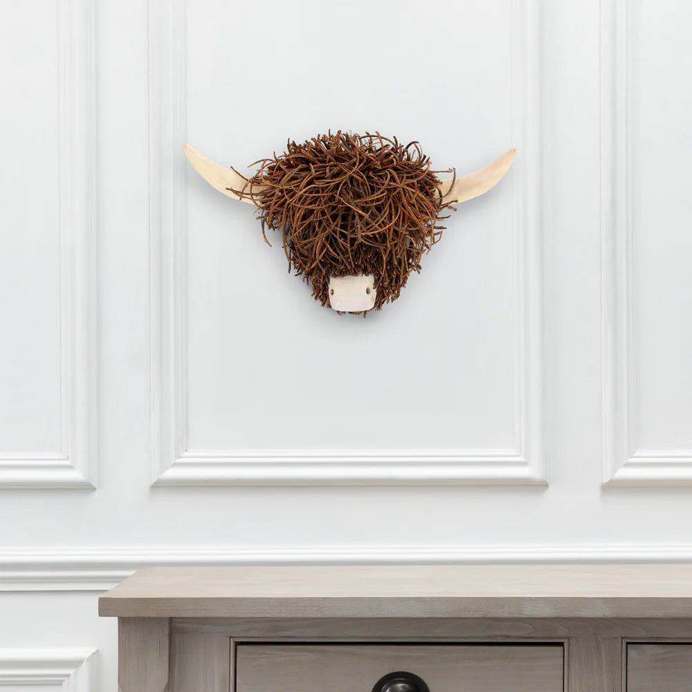 Highland Cow Head