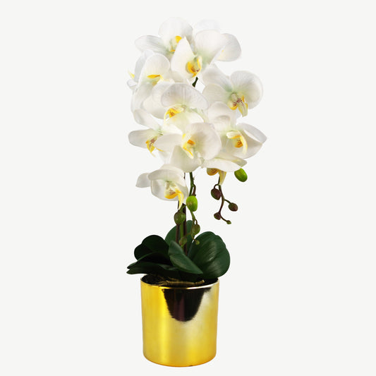 Artificial large white orchid in gold pot