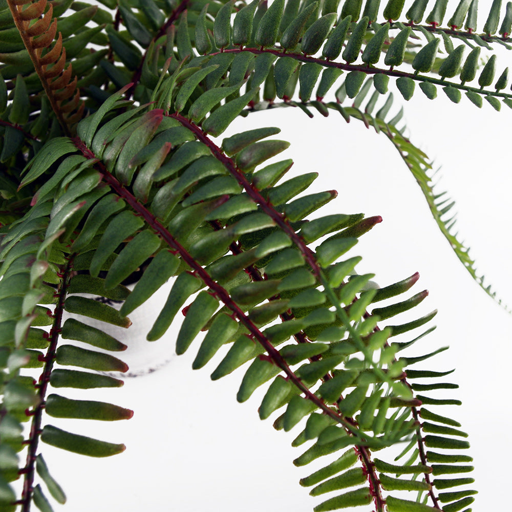 Artificial green fern bush in white ceramic pot