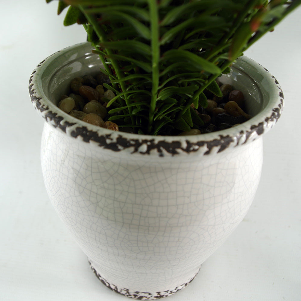 Artificial green fern bush in white ceramic pot