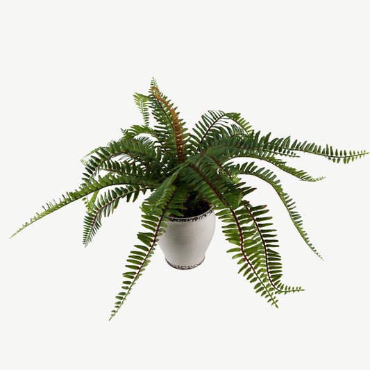 Artificial green fern bush in white ceramic pot