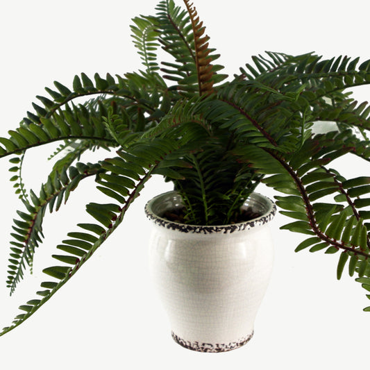 Artificial green fern bush in white ceramic pot