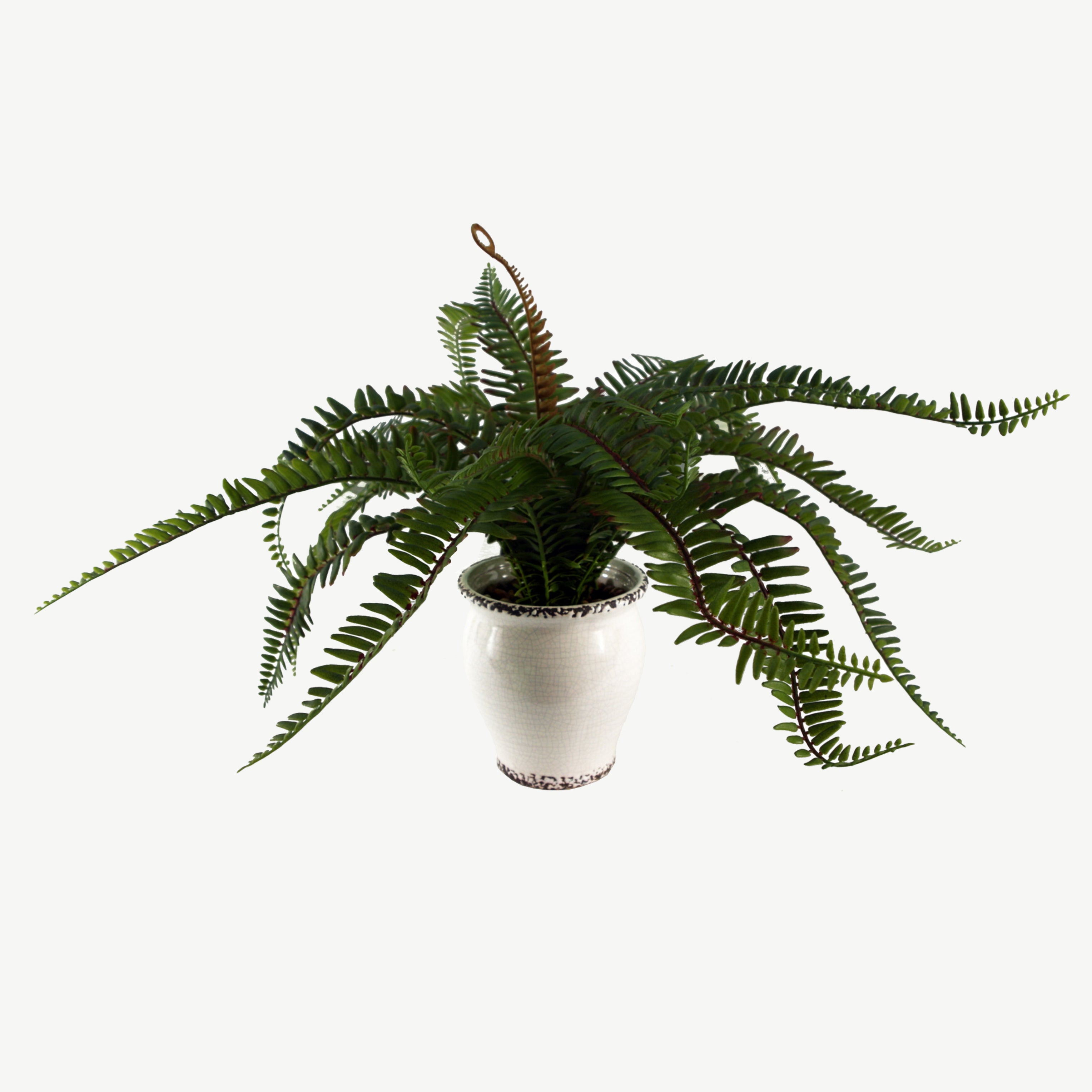 Artificial green fern bush in white ceramic pot