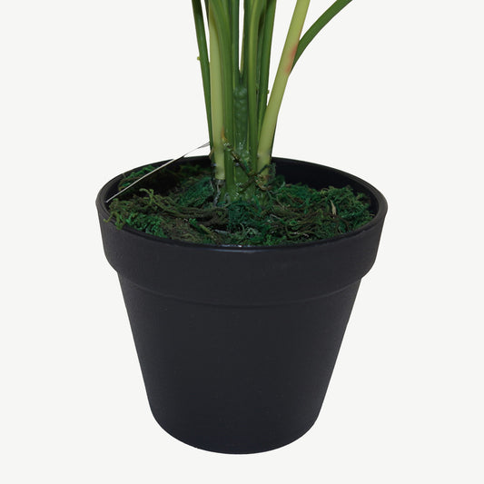 Artificial evergeen japanese aralia plant in display pot