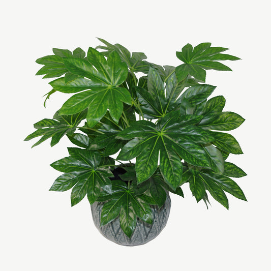 Artificial evergeen japanese aralia plant in display pot