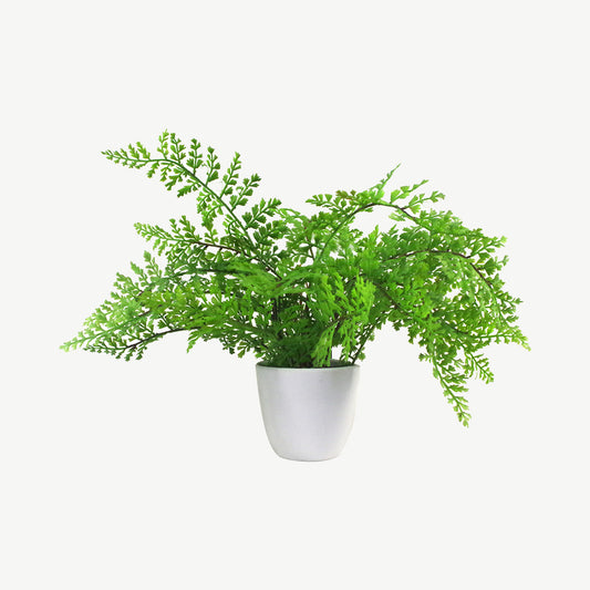 Artificial Fern Plant in Pot