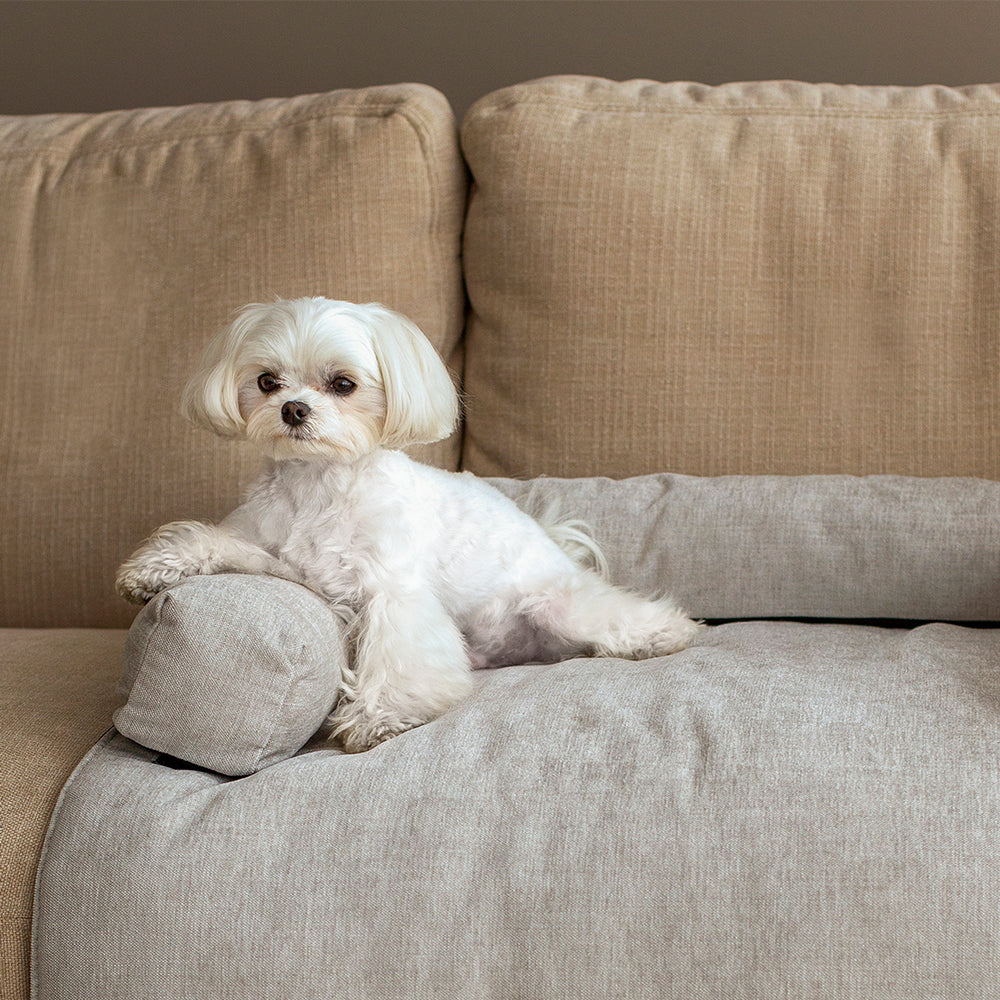 Muttley Pet Bed