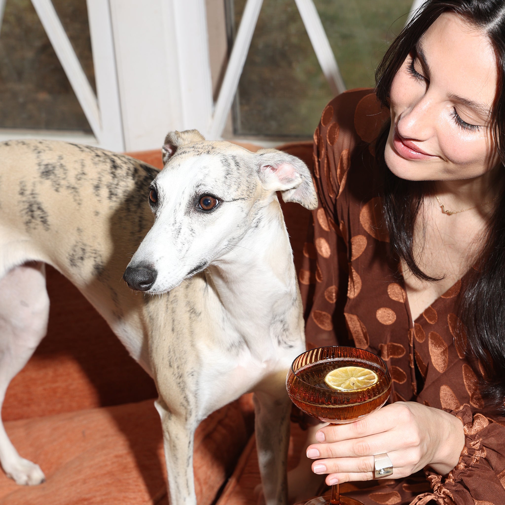 Set of 2 The Lou Coupe Cocktail Glasses in Amber