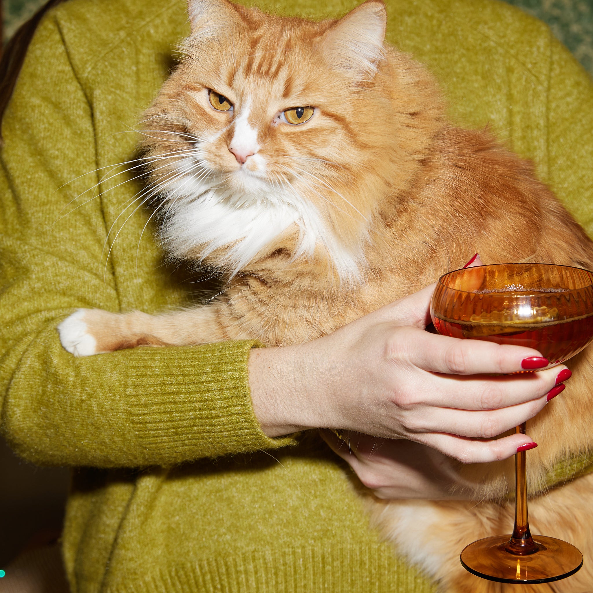 Set of 2 The Lou Coupe Cocktail Glasses in Amber