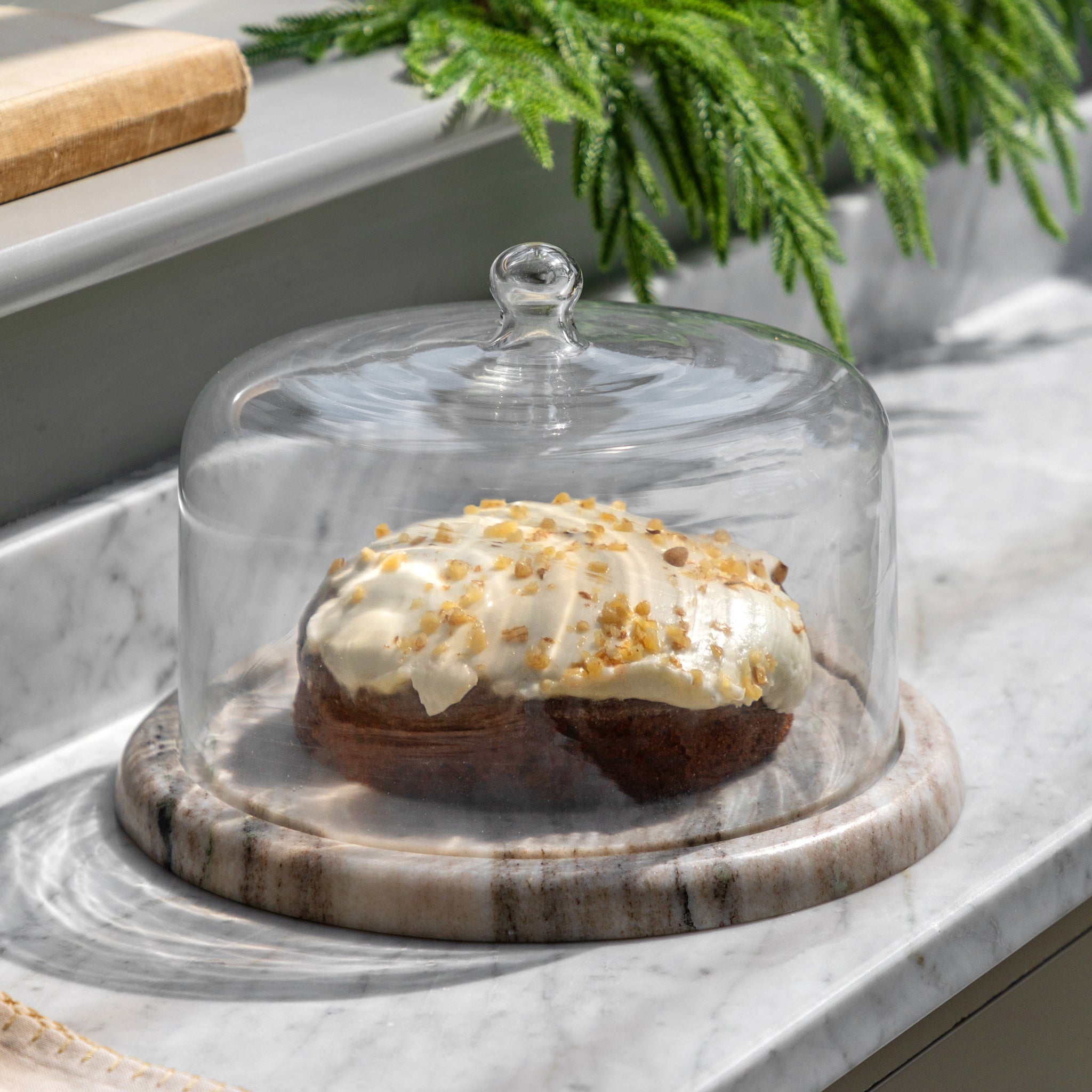 Marble Cake Dome