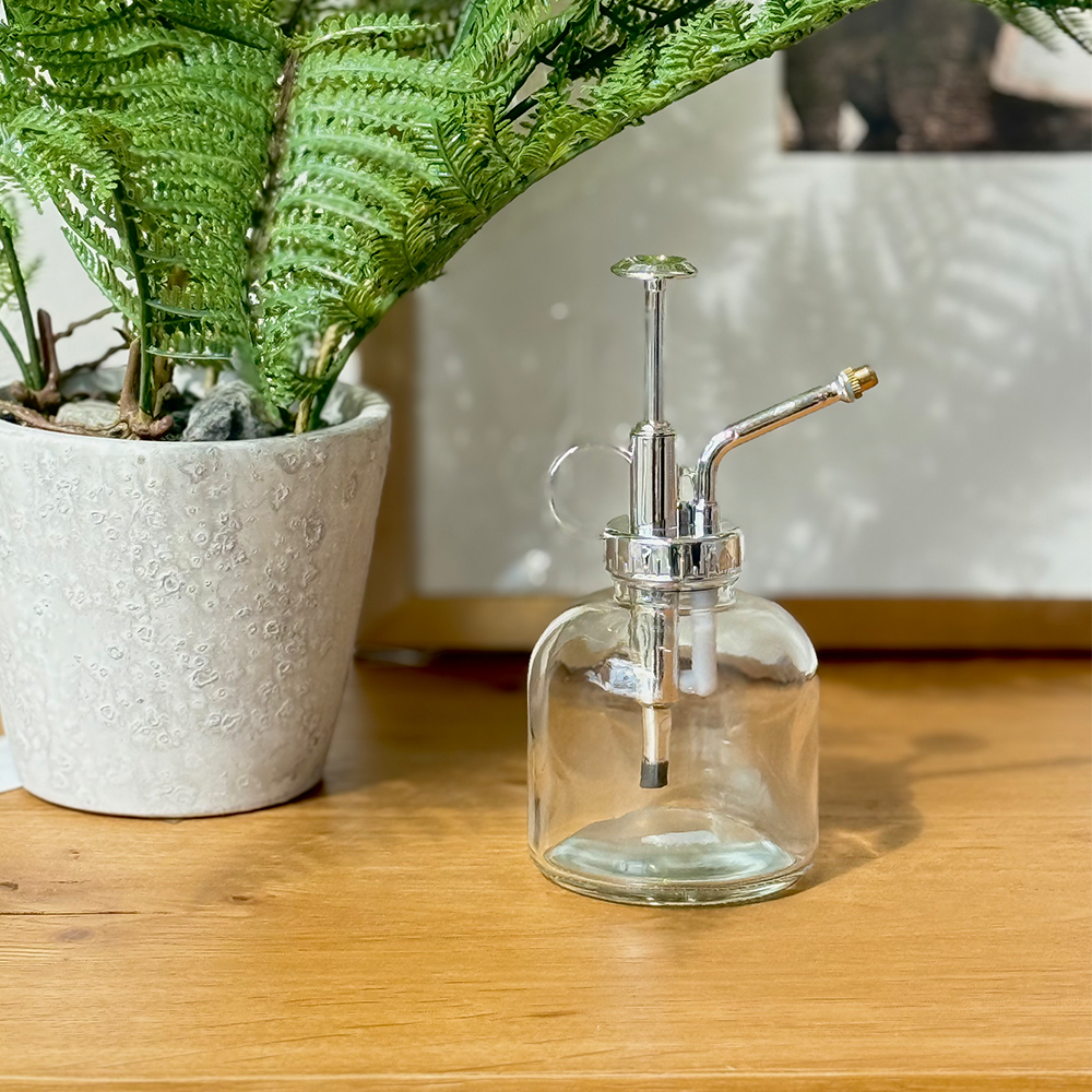 Glass Plant Mister