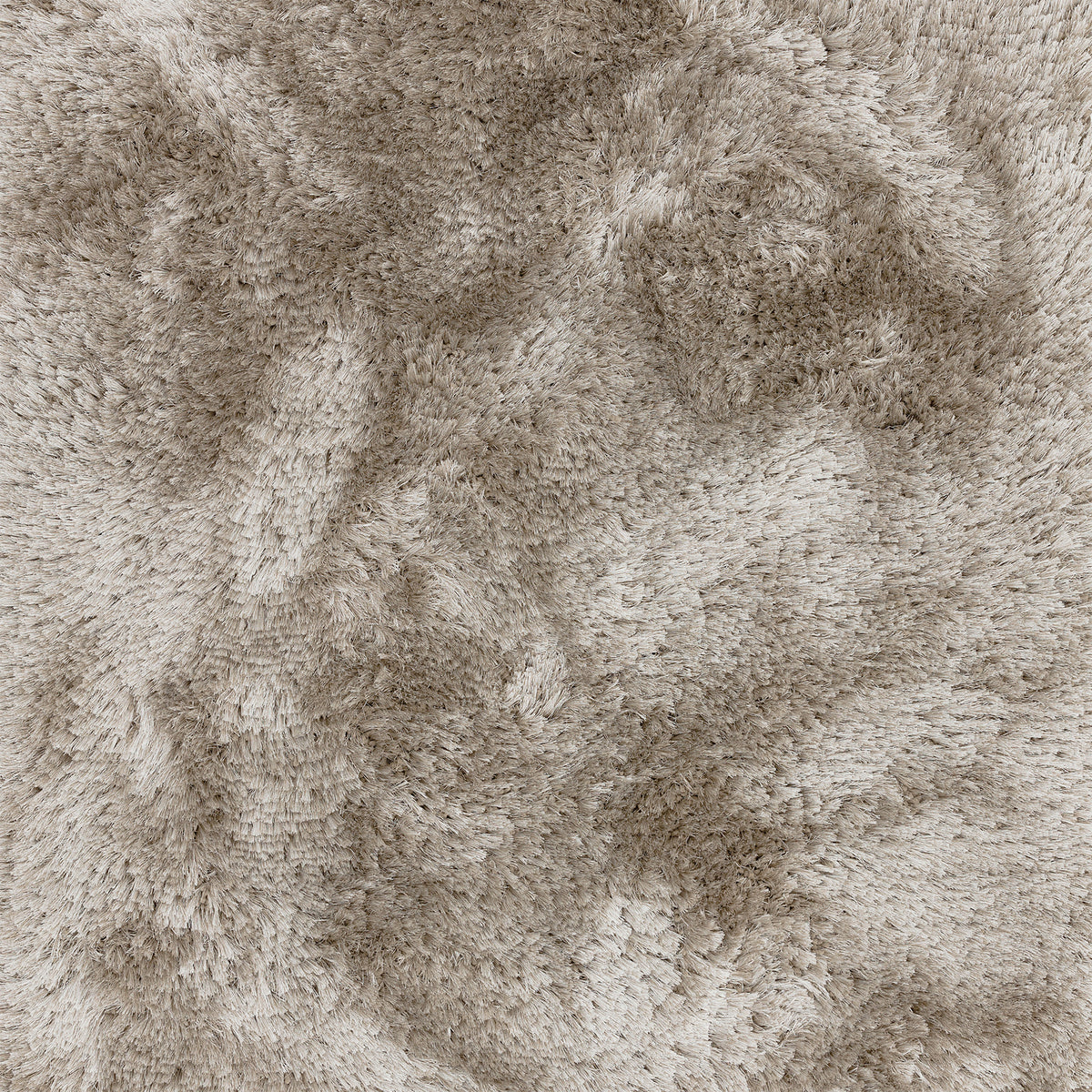 Plush Rug Bold