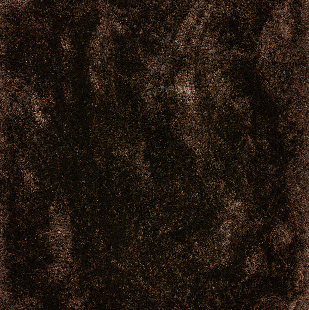 Plush Rug Bold