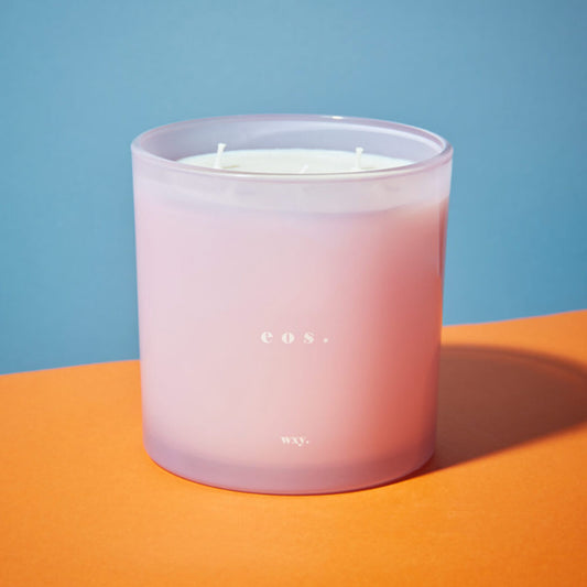 wxy. 53oz Orris Root & Amber Candle