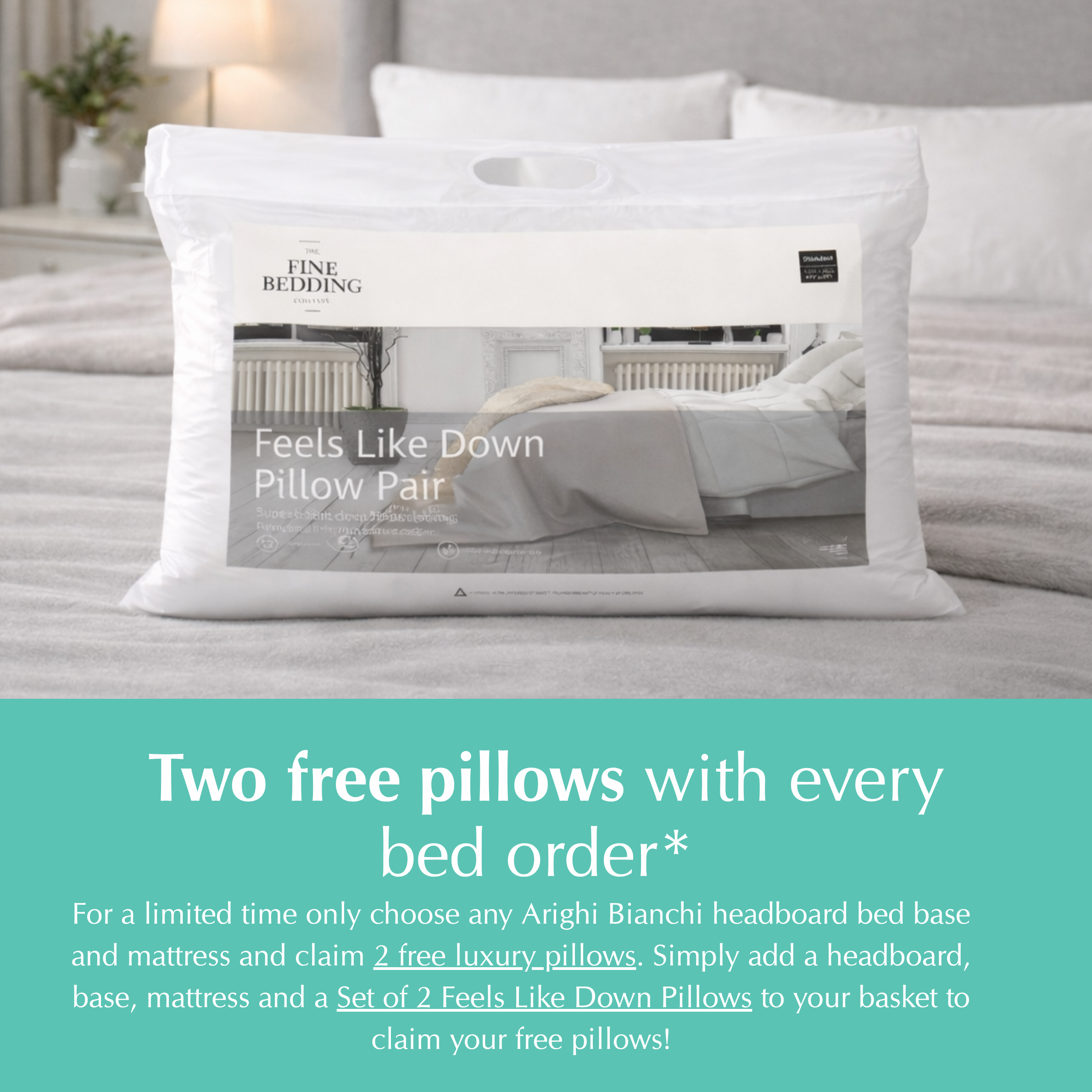 Set of 2 Feels Like Down Pillows