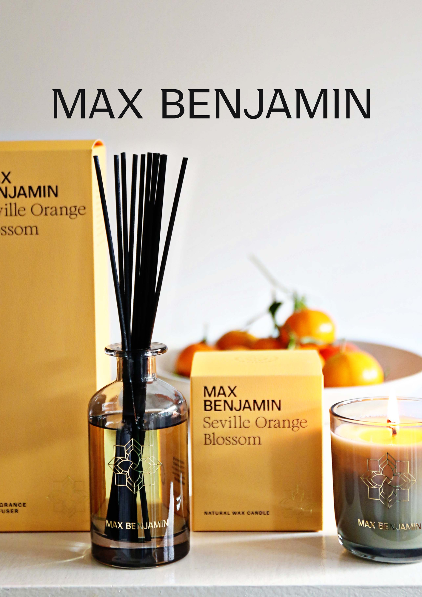 Max Benjamin