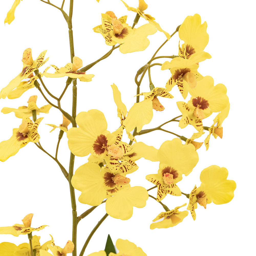 Artificial Orchid in Low Ceramic Pot