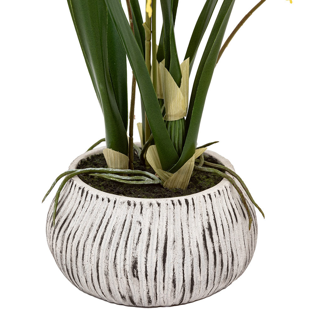 Artificial Orchid in Low Ceramic Pot