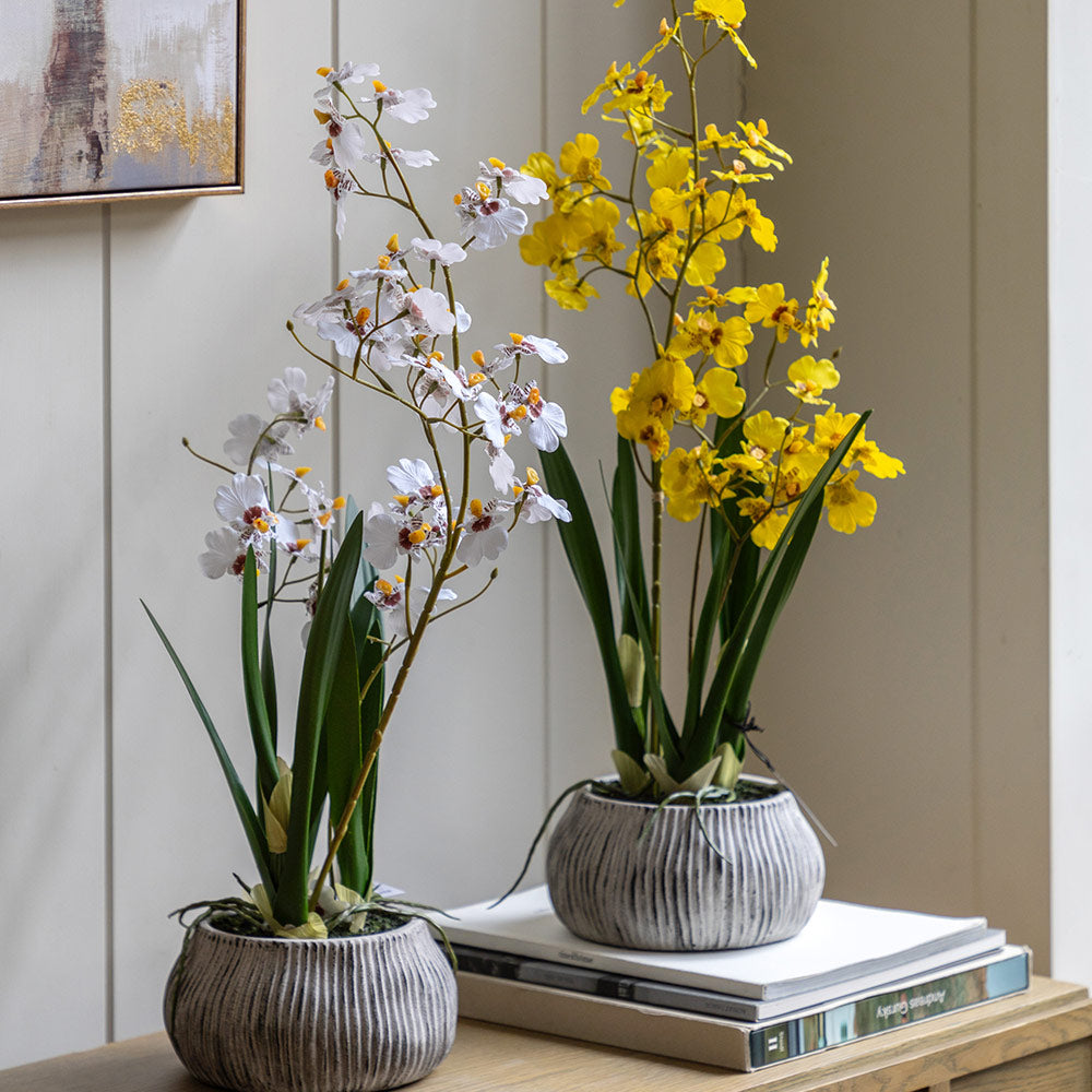 Artificial Orchid in Low Ceramic Pot