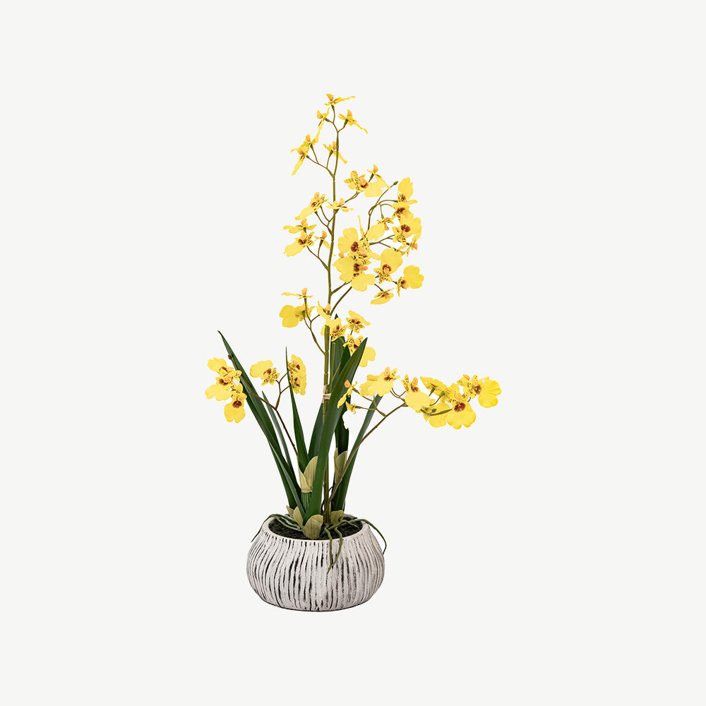 Artificial Orchid in Low Ceramic Pot