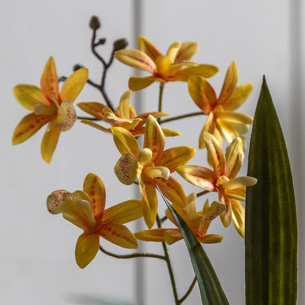 Artificial Orchid in White Ceramic Dot Pot