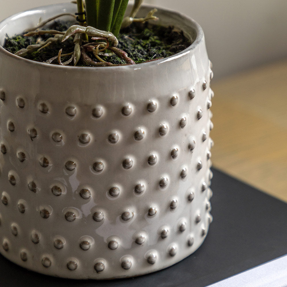 Artificial Orchid in White Ceramic Dot Pot