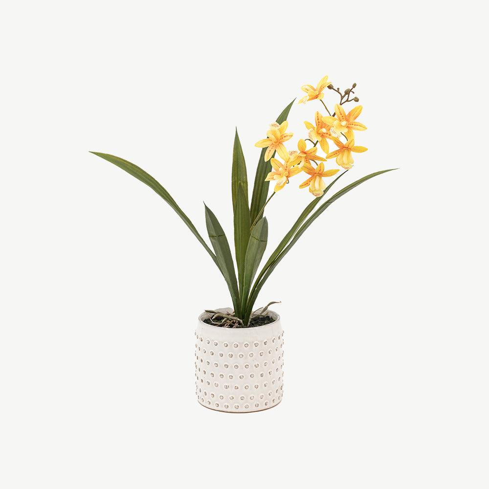 Artificial Orchid in White Ceramic Dot Pot